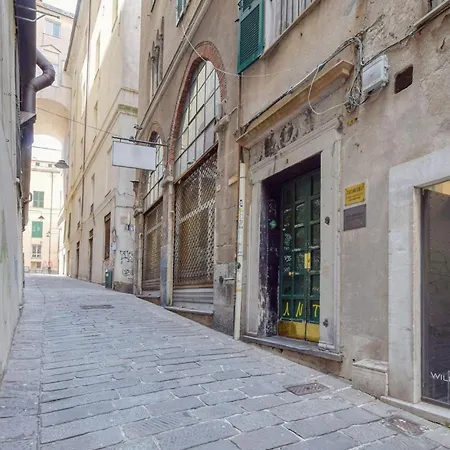 Amazing In With Wifi *